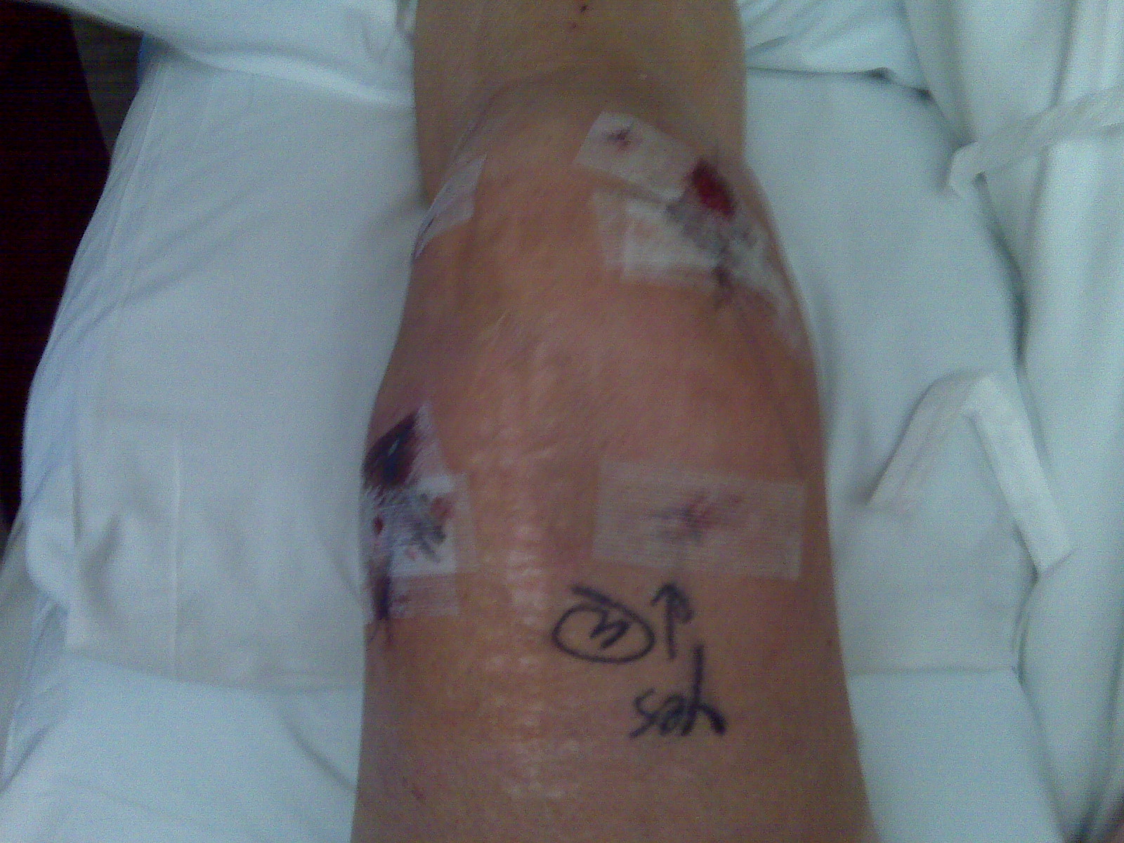 [=?utf-8?B?SU1HMDAwMTcuanBn?=-725755]