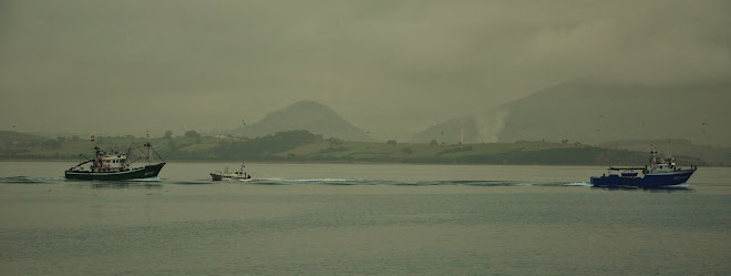 BAHIA DE SANTANDER