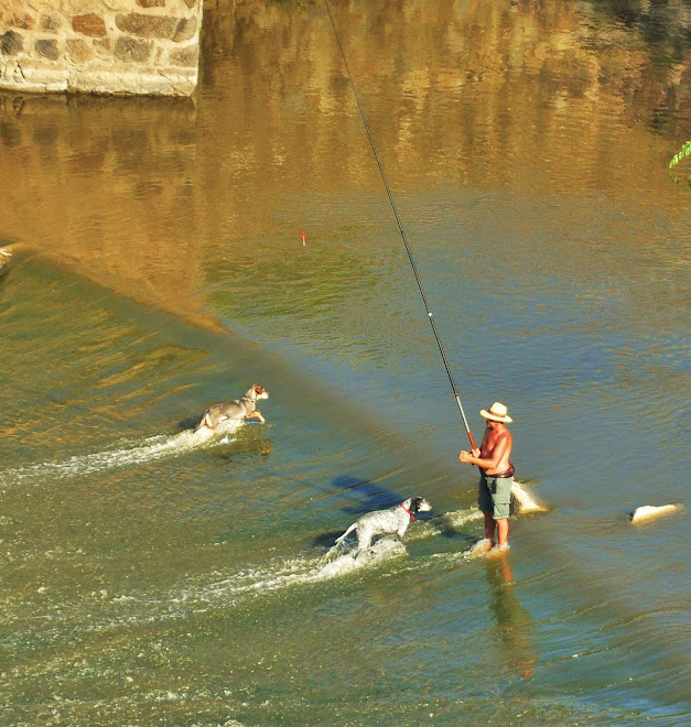 "PESCA" MENOR CON PERRO EN EL RIO TAJO