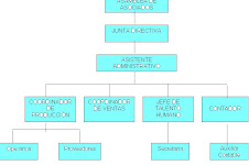 estructura Organizacional