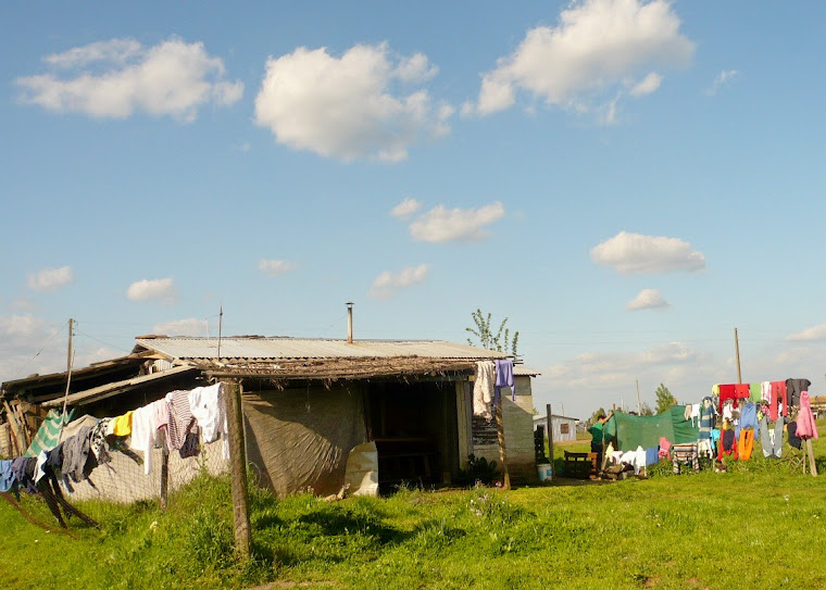 Bulnes, ciudad de las camelias