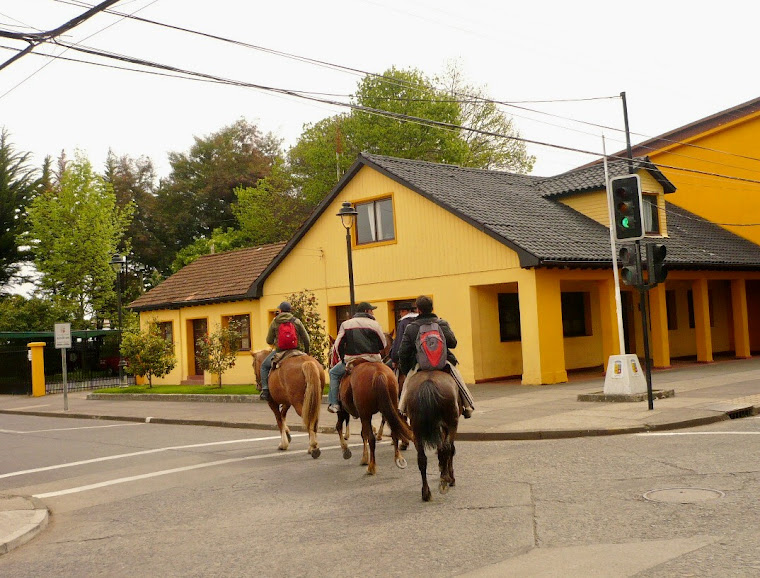 Bulnes, ciudad de las Camelias