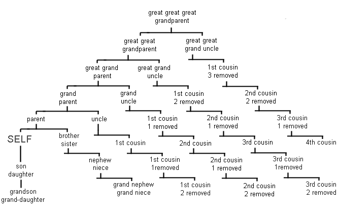 Family Relationship Tree