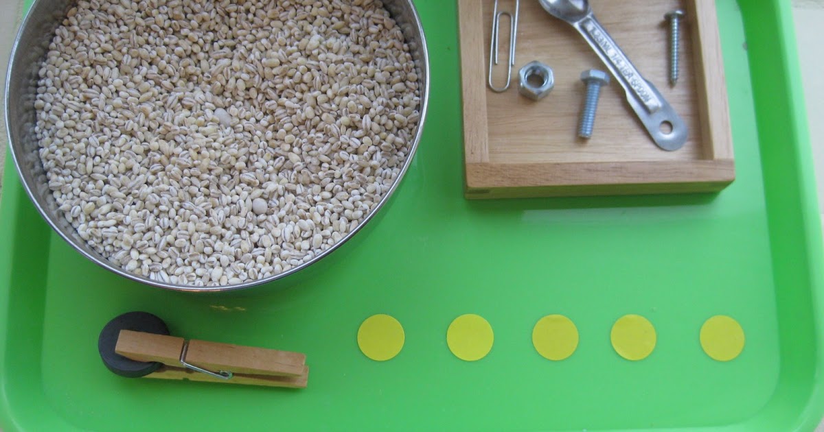 The Wonder Years Exploring With