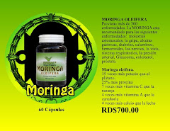 MORINGA CAPSULAS