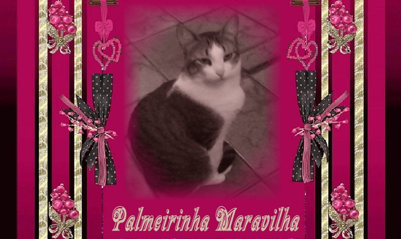 Palmeirinha  Maravilha