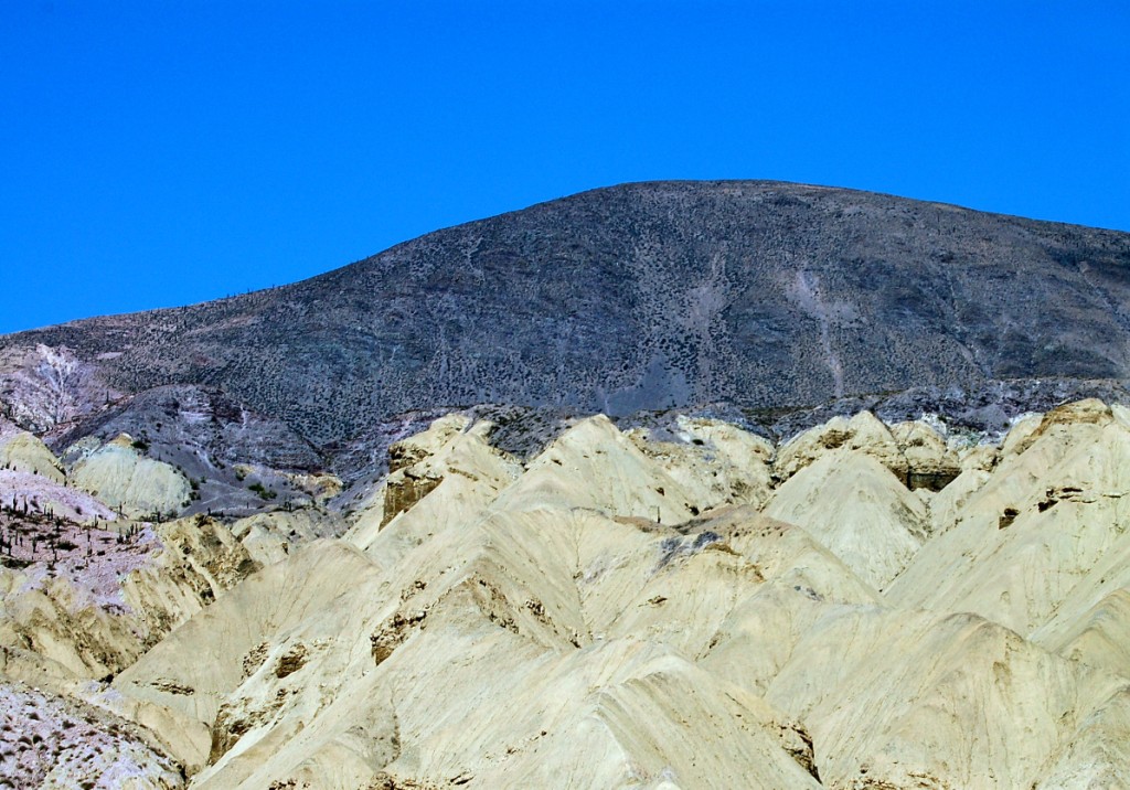 [Salta+Salinas+014b.jpg]