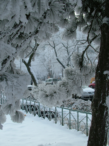 Iarna in Bucuresti