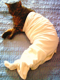 Pacha Mama House Purr