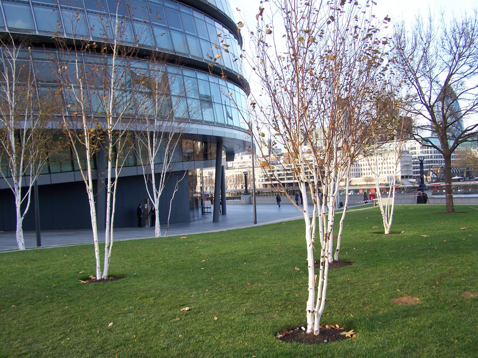 landscape.isroberts Potters Fields Park