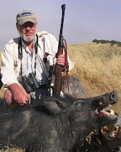The author took this California wild boar with his customized CZ .375 H&H.