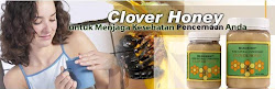 Clover Honey