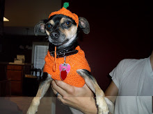 Chi Chi is ready to trick or treat!