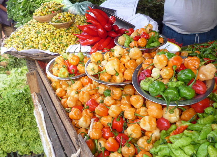 Pimentas na Feira