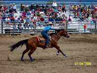 Ava Quinn contemporary western romance, cowboy romance, contemporary western romance novels, funny blog, contemporary western romance author,