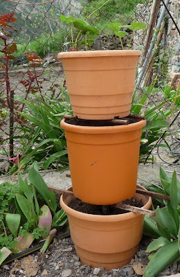 Acodero Nature Fraisier Mount Everest