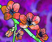  couleurs et joie de vivre aux fleurs de bretagne rouge des fraises et violet des lilas en salade
