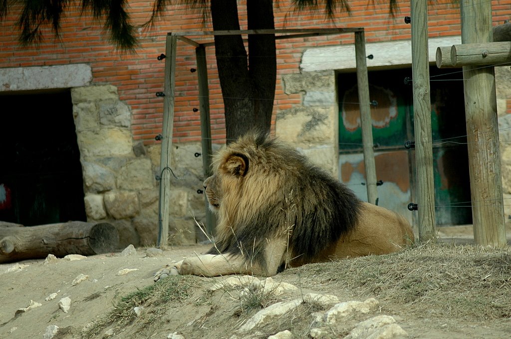 [DSC_2445.JPG]