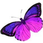 [butterfly-tattoo-designs-2.jpg]