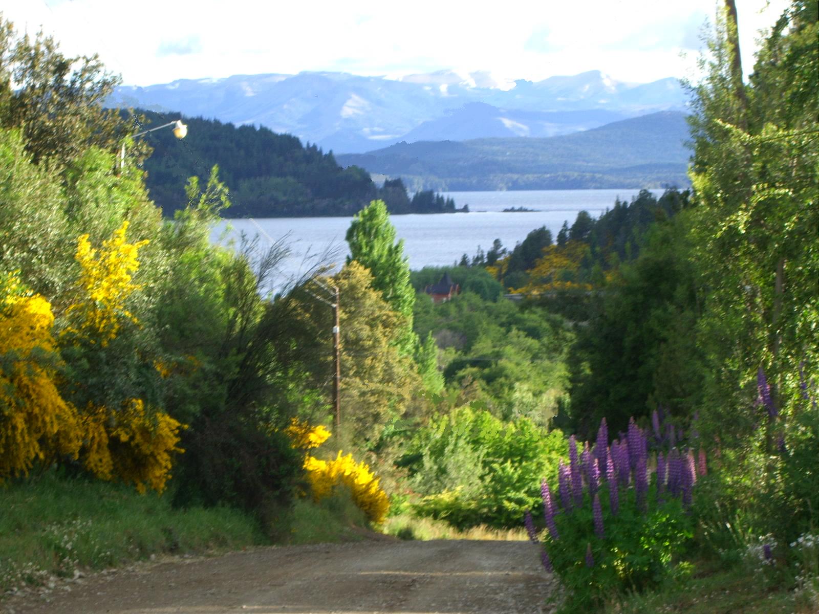 Vista al lago Nahuel Huapi