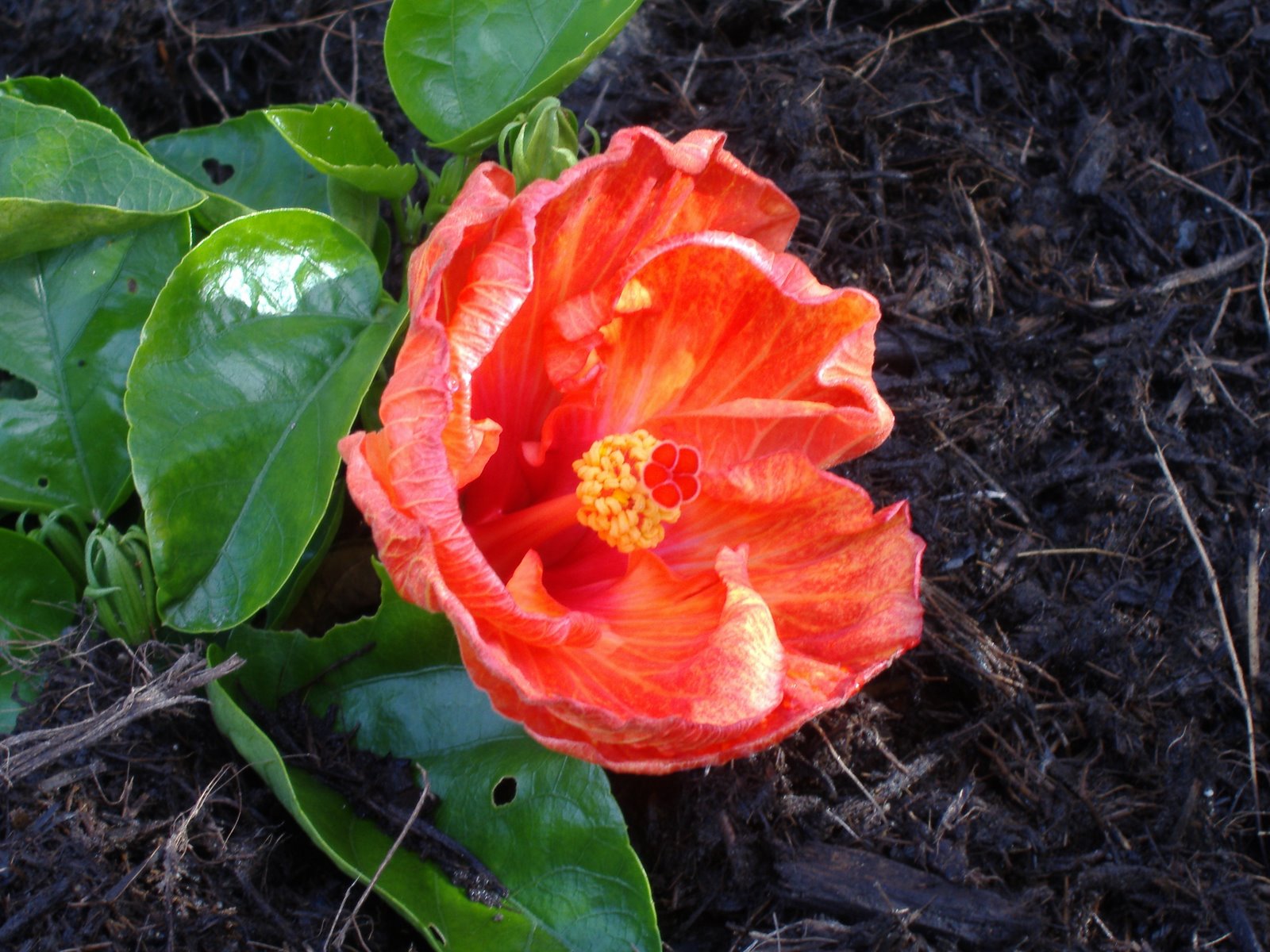 [fingerfelt+stories+061.jpg]