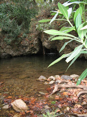 Azogires: Sacred Waterfall and Initiation Pool