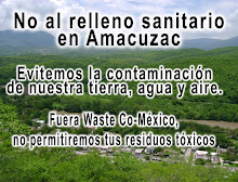 CUIDEMOS NUESTRO AMBIENTE