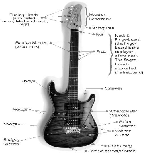 ZERU How an Electric Guitar Works