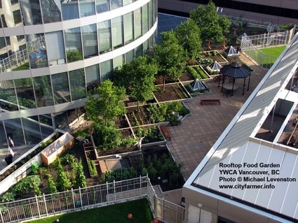 [ywcarooftopsweb.jpg]