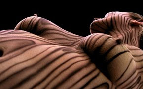 Body Painting - Stripes
