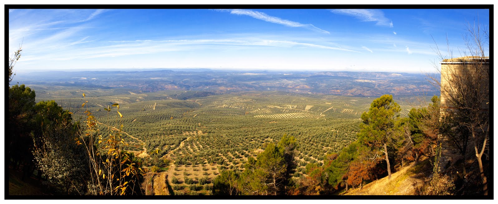 http://1.bp.blogspot.com/_Yno_Pia-BLM/SxLr90pp0PI/AAAAAAAAA_8/EO-Rtwcx8VQ/s1600/PANORAMICA-DE-OLIVOS-N%C2%BA-1.jpg