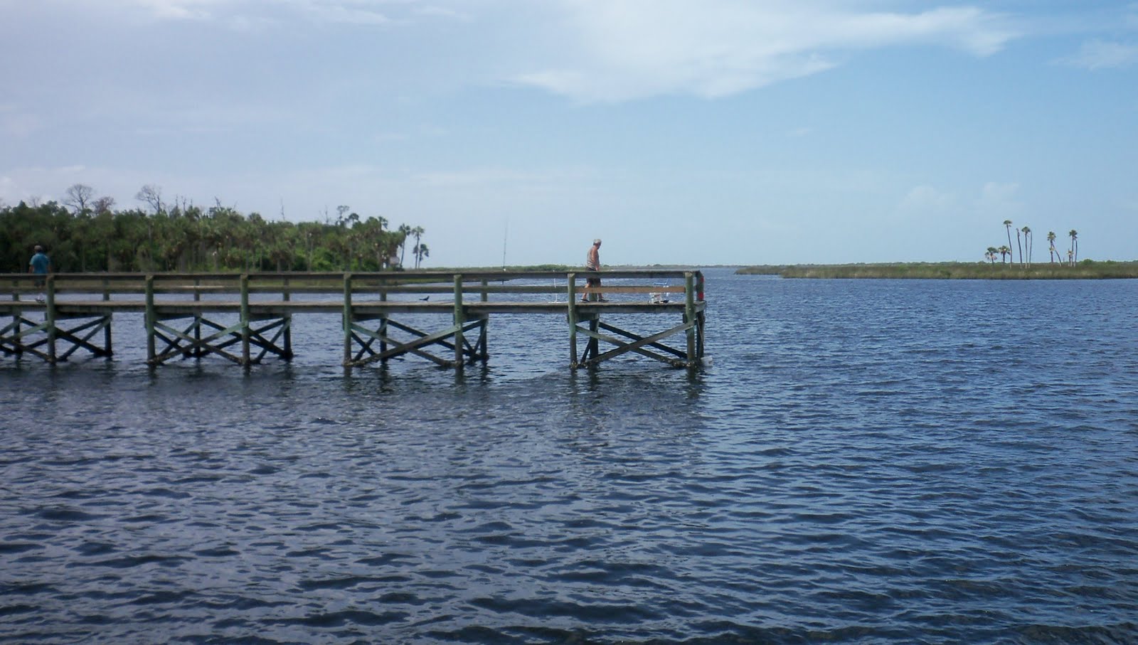 Southwest Florida Shoreline Studies Bayport Shorelines