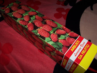 El Jardín De Natura: Mi frambueso