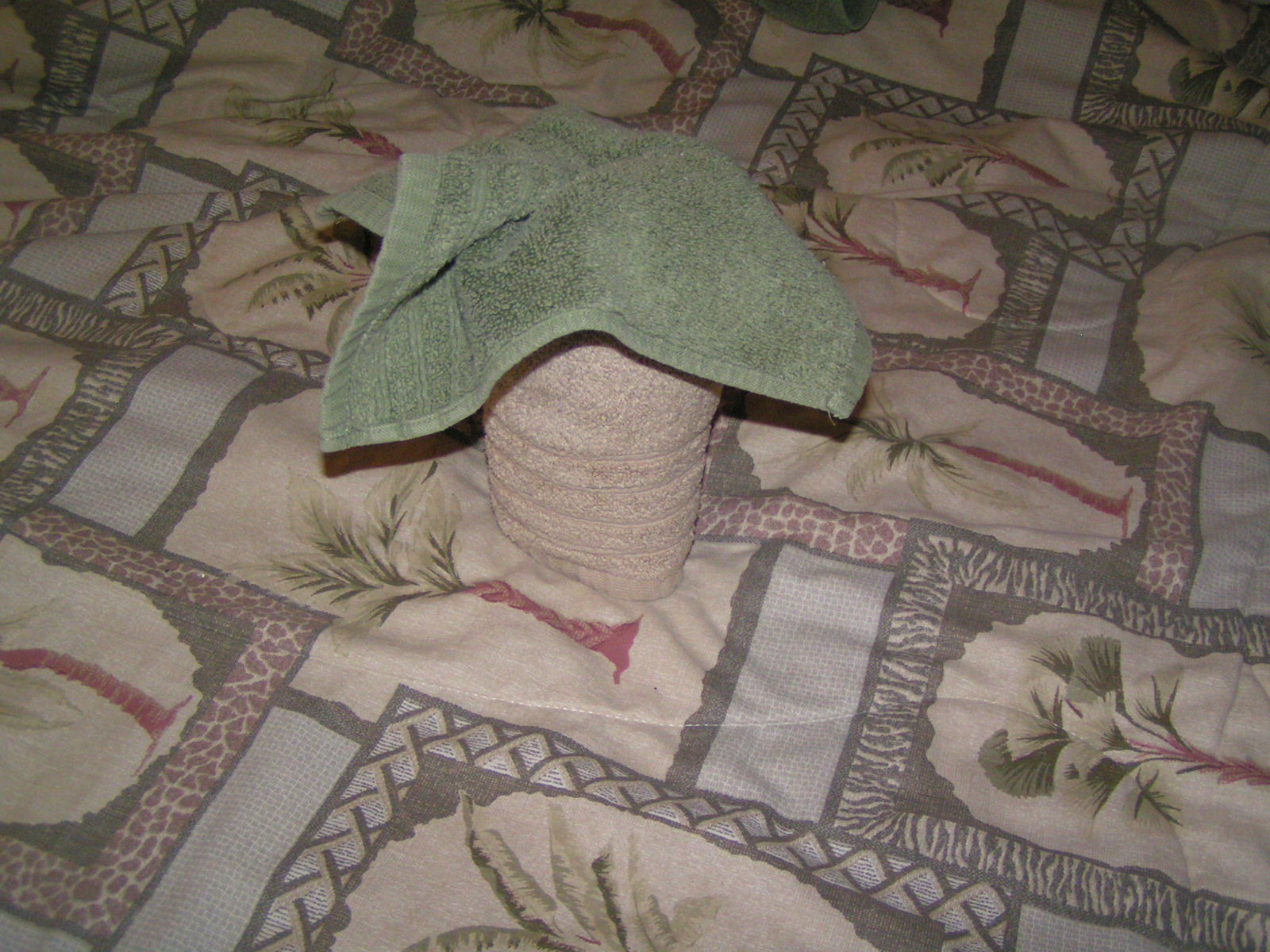 Corpany Creative Clearinghouse Towel Origami Palm Tree