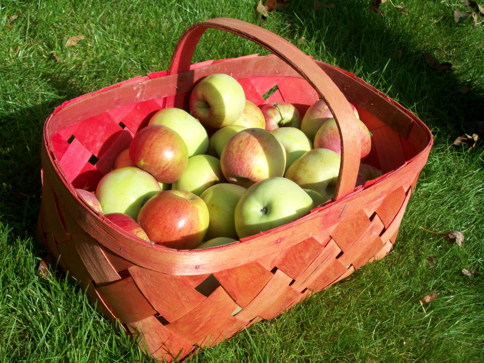 Making Pectin from Apples End Of Ordinary