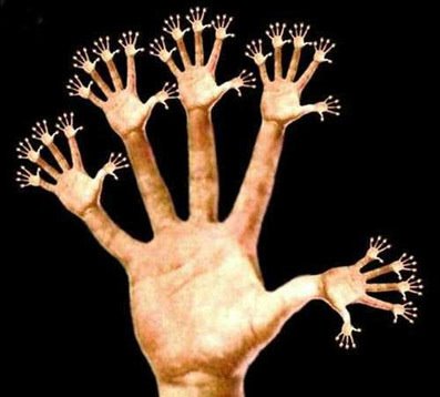 [noticia_5703_normal.jpg]