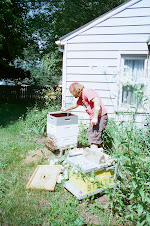 Sunday Afternoon Beekeeping