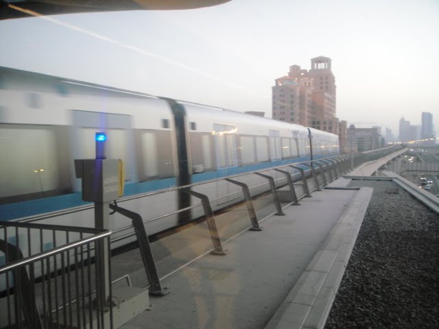 [DSC00732.JPG]