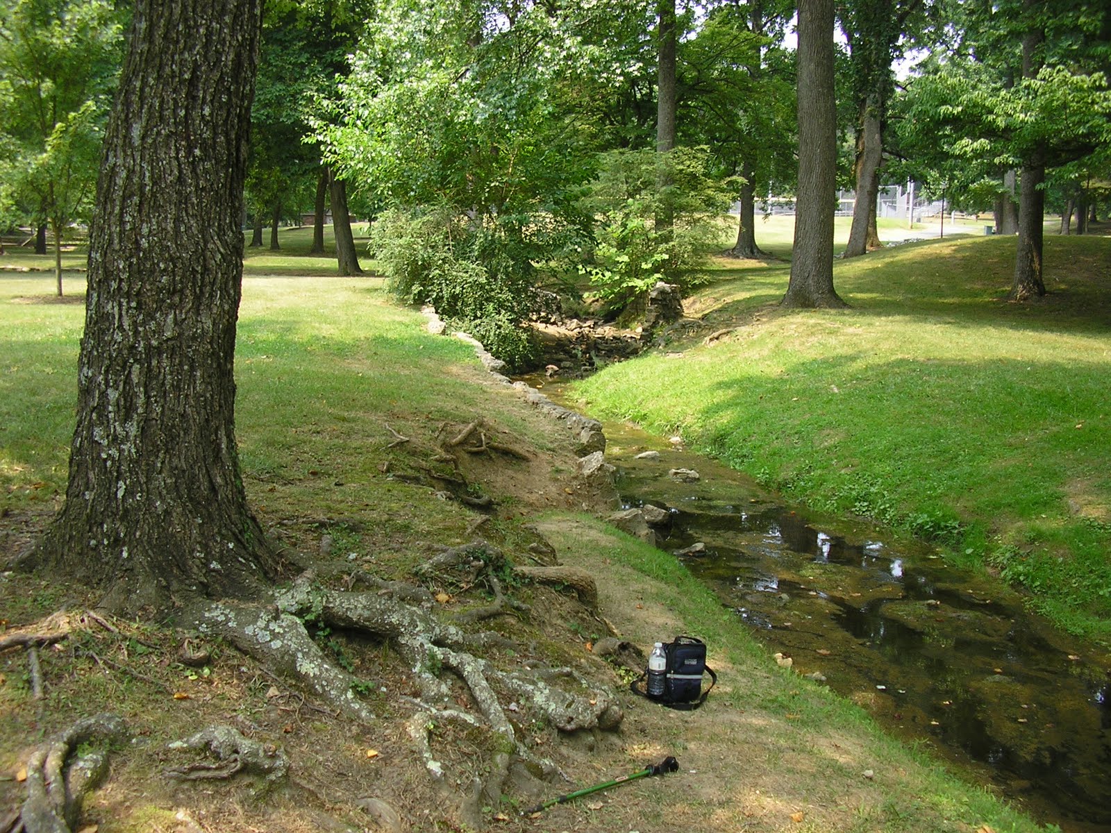 Andean Trekker The High Point Greenway and High Point University