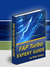 FAP Turbo Expert Guide