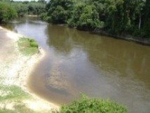 Paisagem vista de dentro do trem...