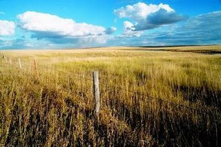 Landforms What Do The Interior Plains Look Like