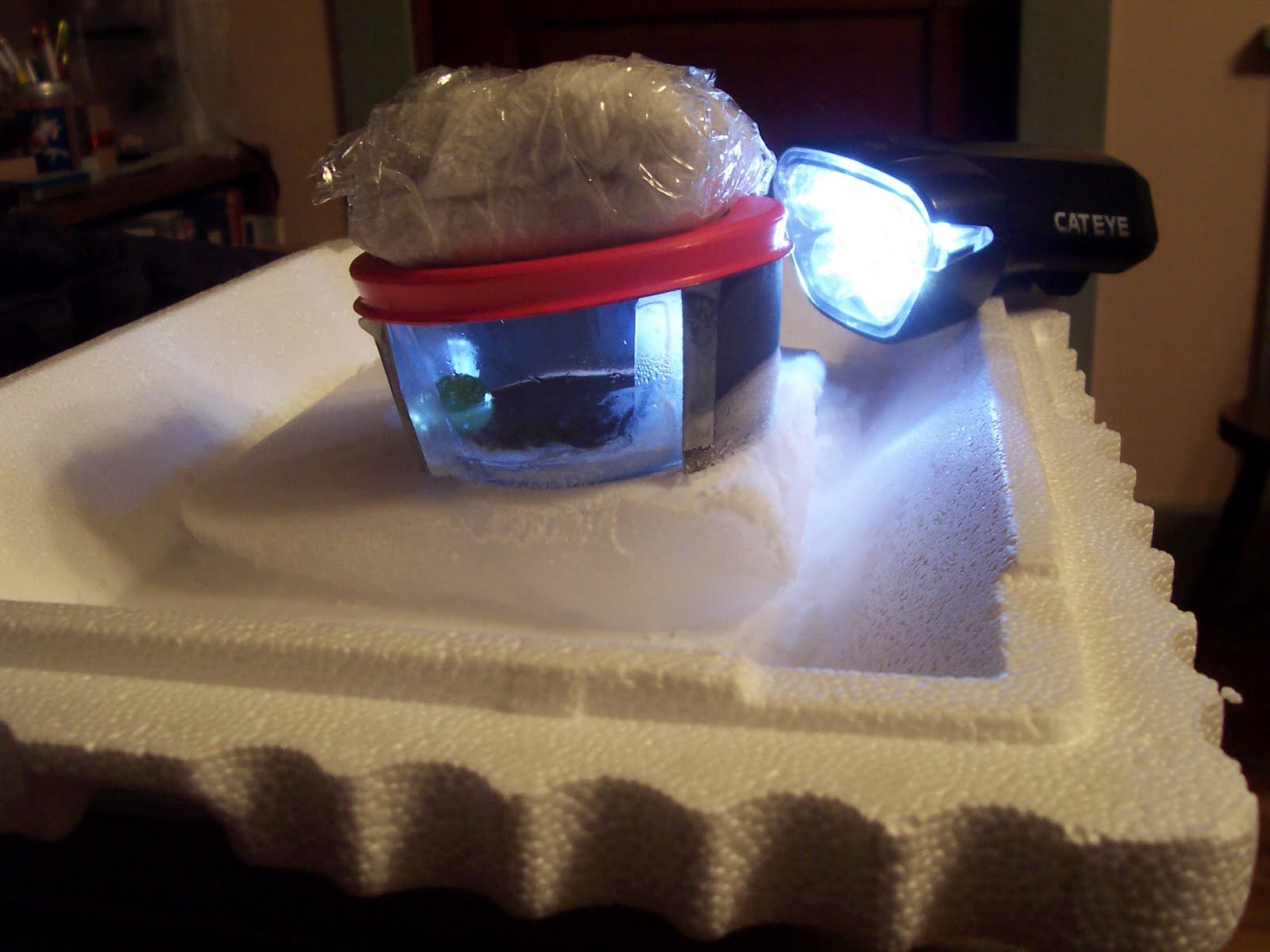 Home Physics Particle Cloud Chamber