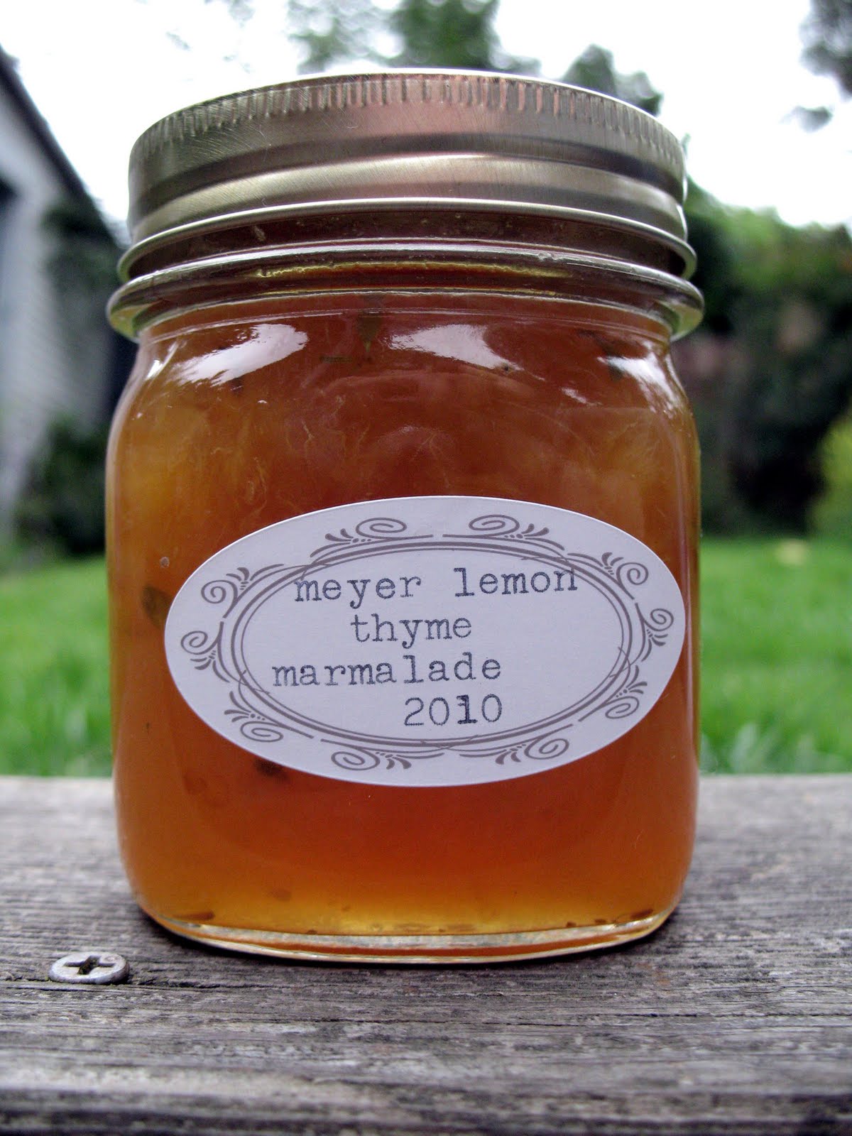 Meyer Lemon Thyme Marmalade Recipe mostly foodstuffs