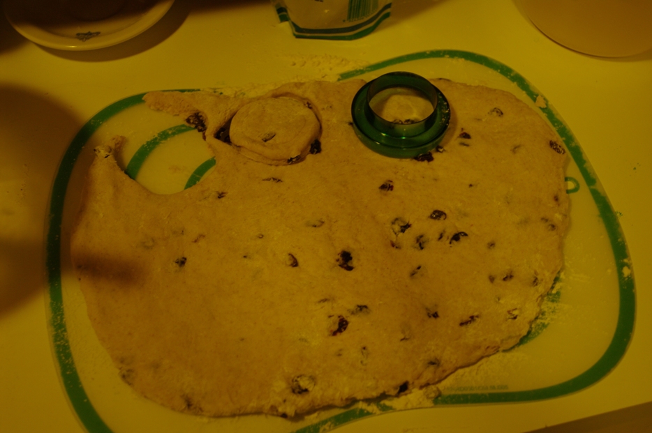 [IMGP9634_small.JPG]