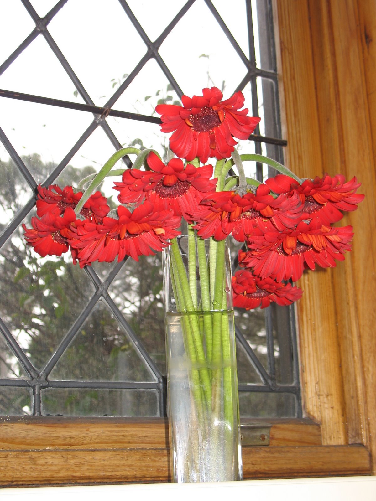 [Random+photos+069.jpg]