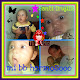 Mi foto