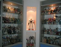 My Collection