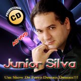 Novo Cd Do Junior Silva Vol.3