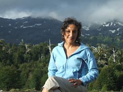 La Araucanía, la Región donde yo vivo.